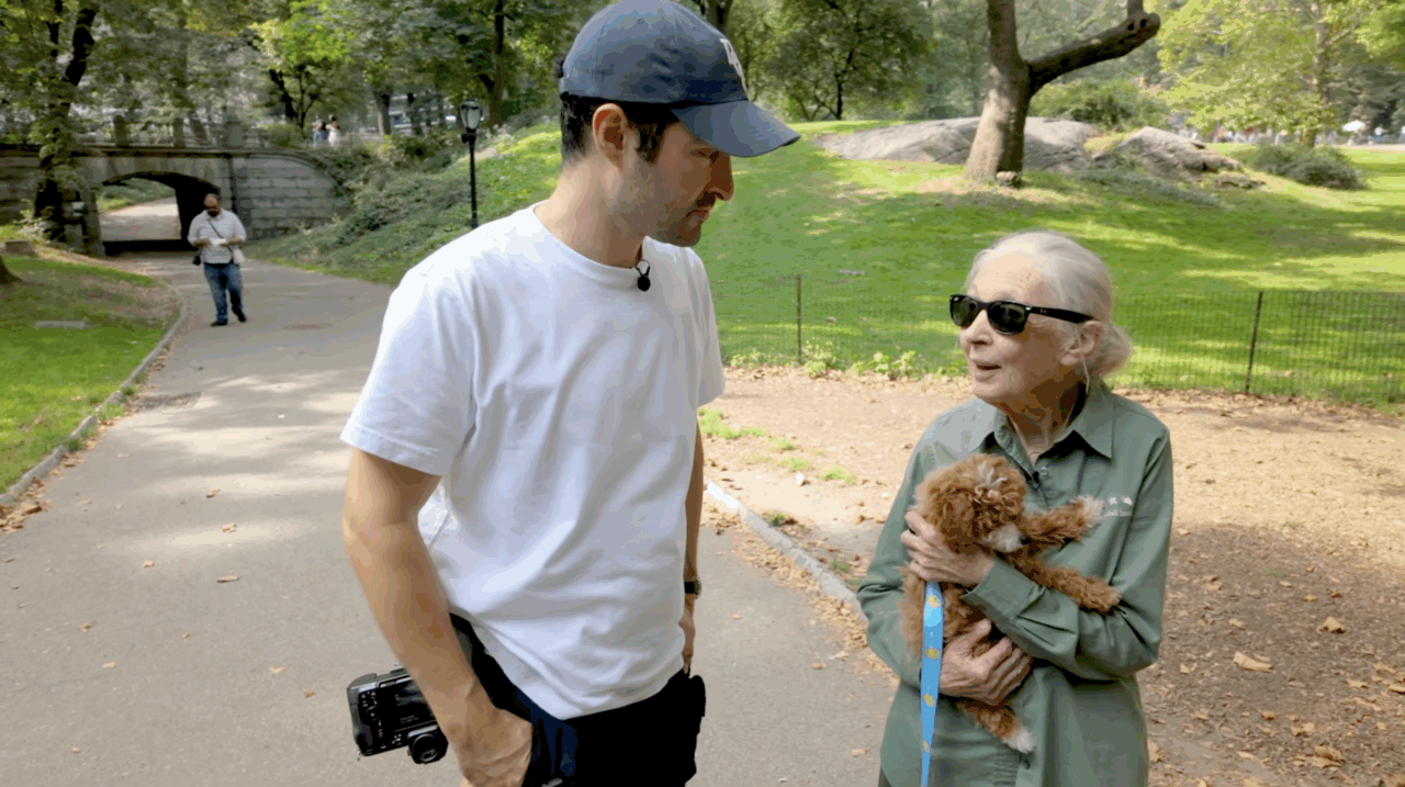 Watch DOGS with Jane Goodall